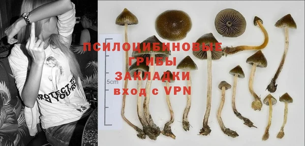а пвп мука Балабаново